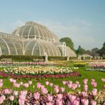 Kew Gardens london best