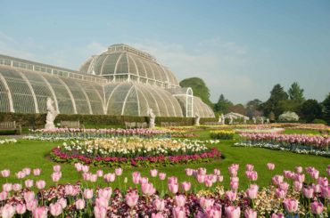 Kew Gardens london best