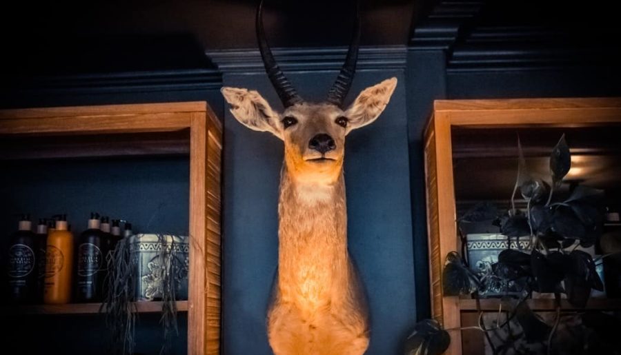 What are the weirdest museums in London?
