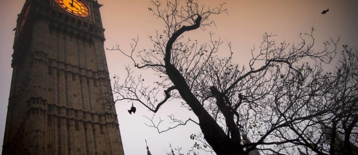 The spooky clock tower of Westminster with a bare tree and flying bats
