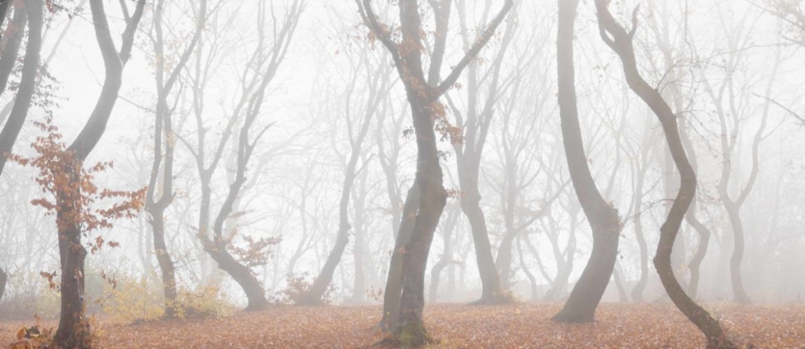 most haunted places in the world