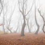 most haunted places in the world