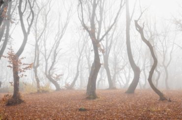 most haunted places in the world