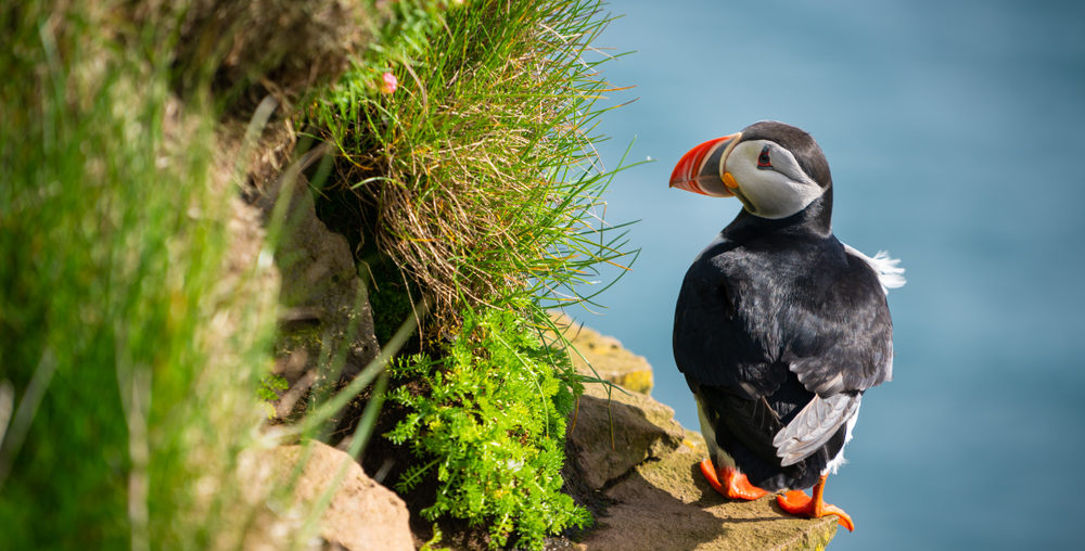 unusual things to do in england