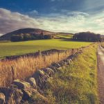 british countryside experiences