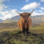 best british countryside