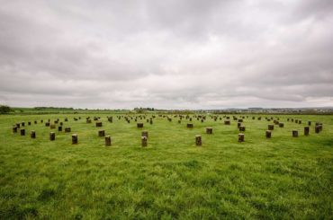 Woodhenge